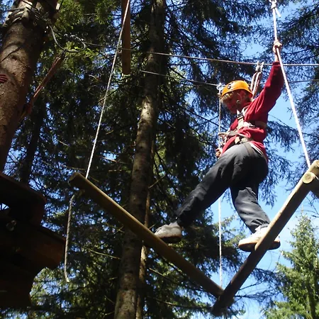 Sonnenhof Centrum فندق 4*